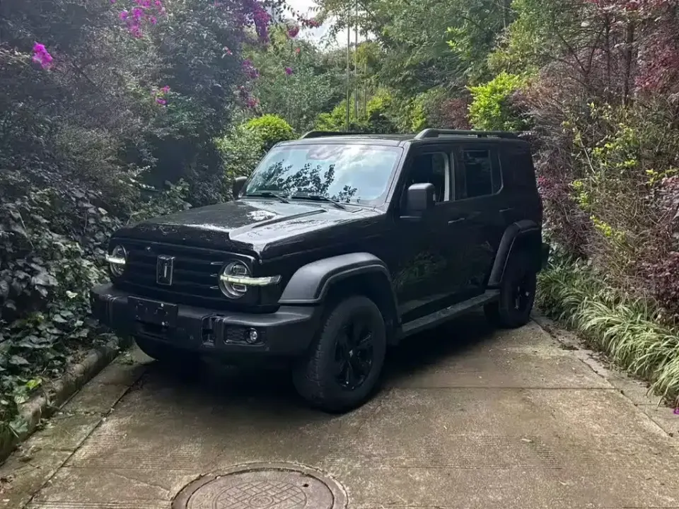 Tank 300