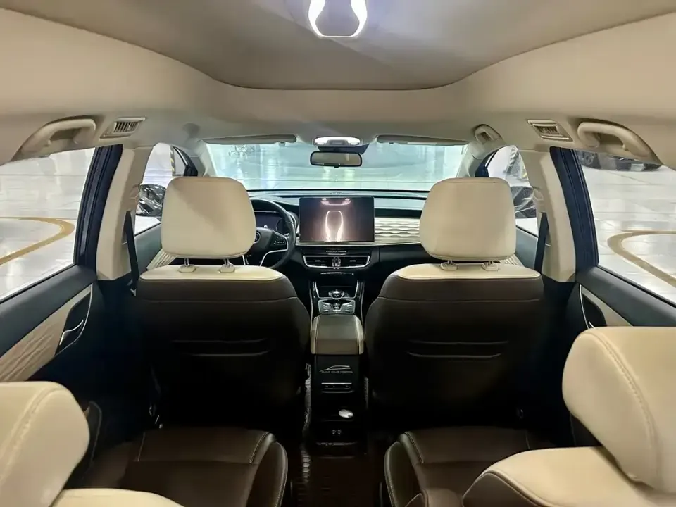 BYD MAX New Energy