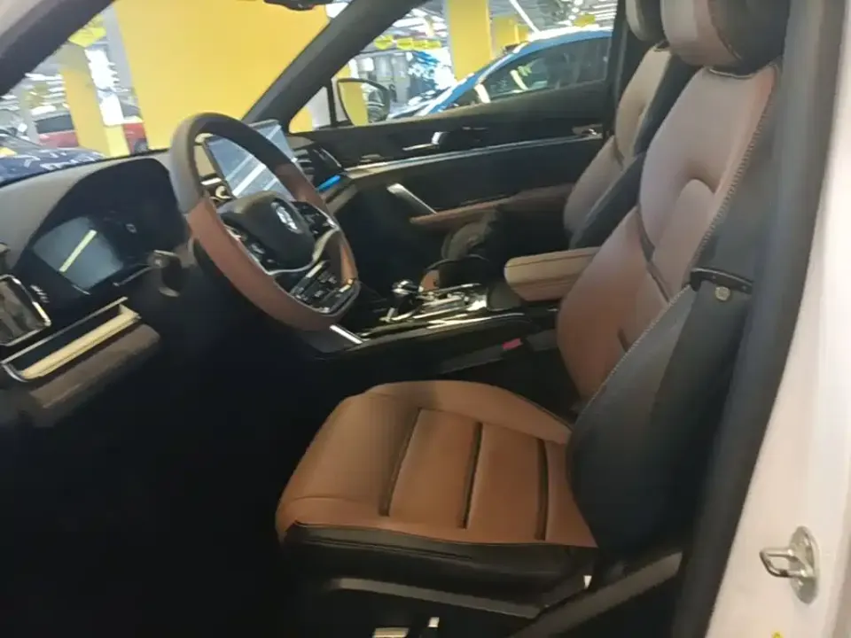 BYD Tang New Energy