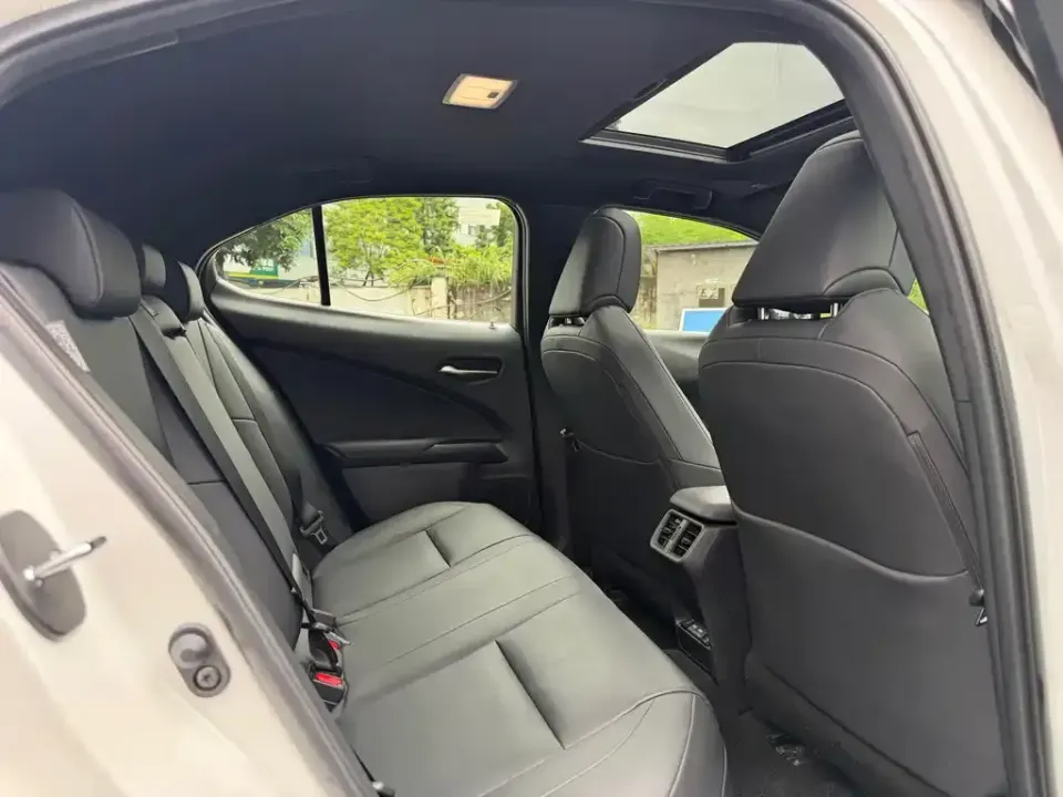 Lexus UX New Energy