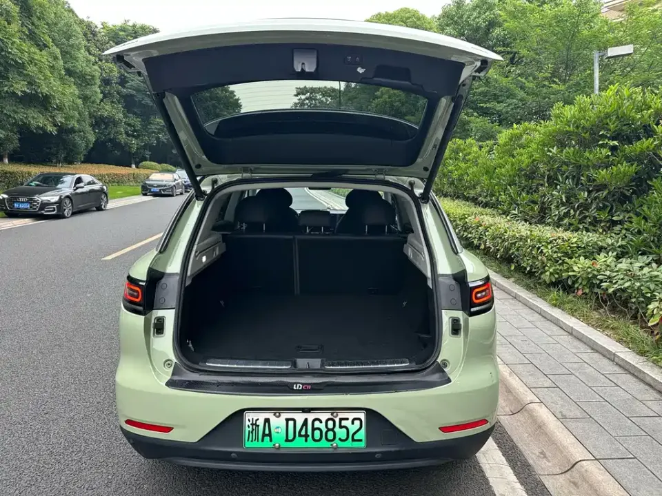 Leapmotor Leapmotor C11