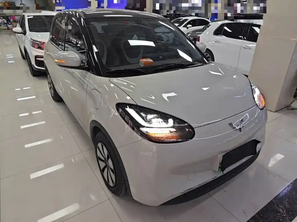 Wuling Bingo