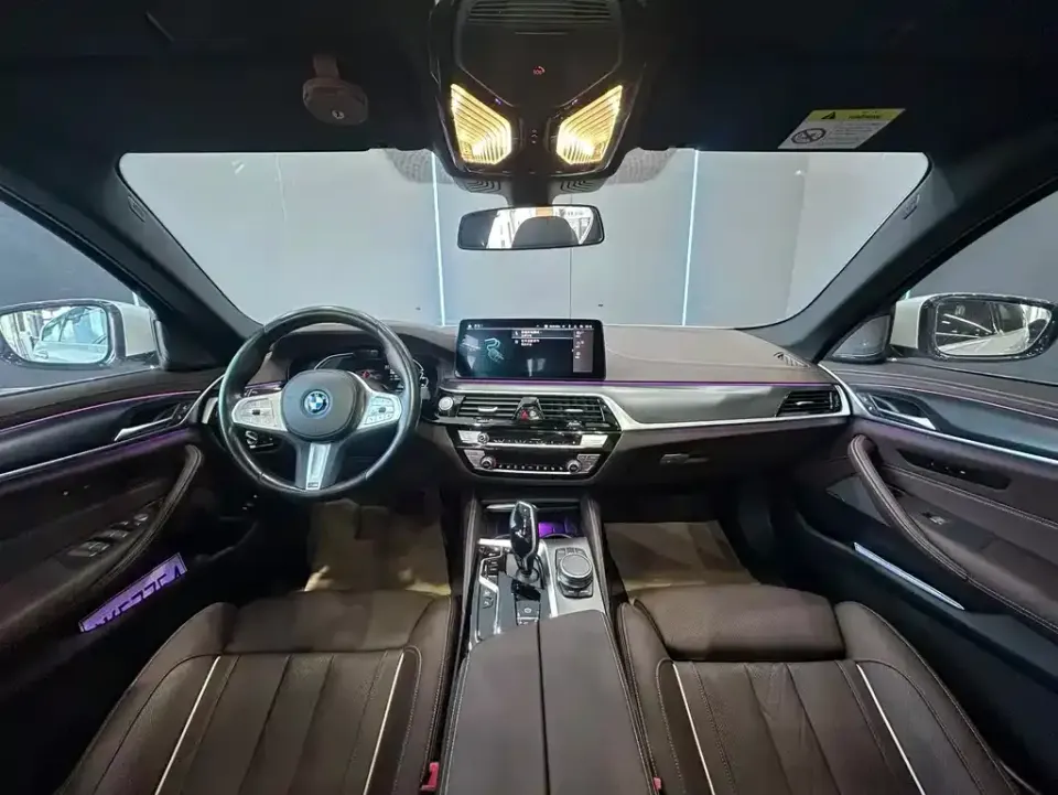 BMW 5 Series New Energy
