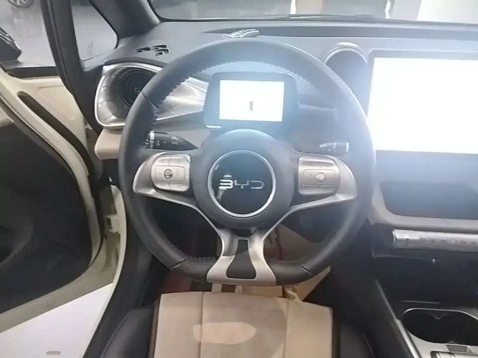 BYD Dolphin
