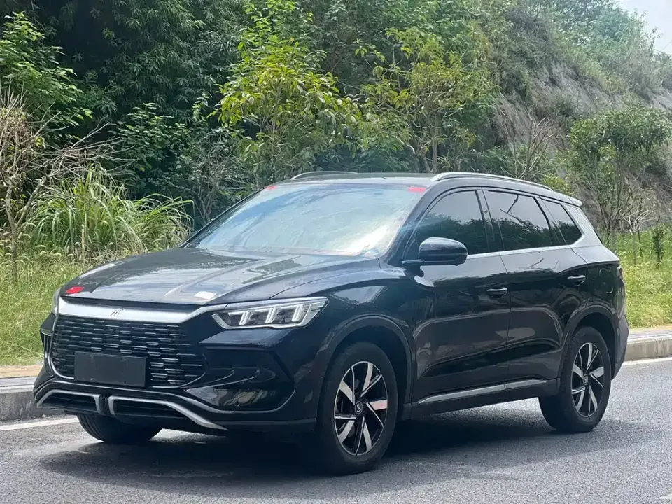 BYD Pro New Energy