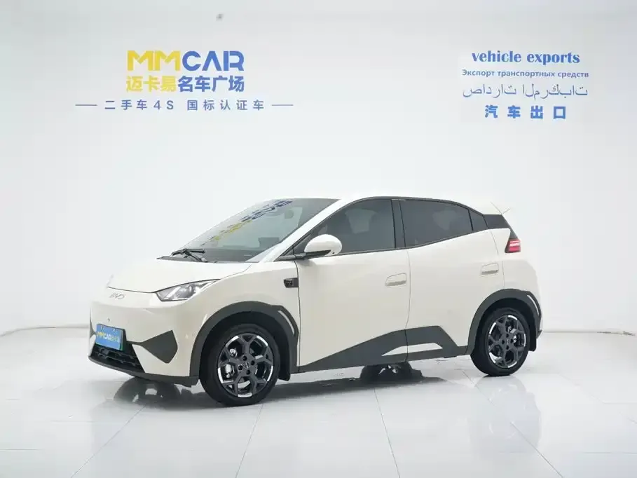 BYD Seagull