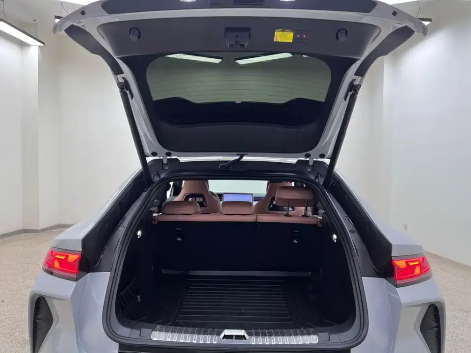 BYD L EV