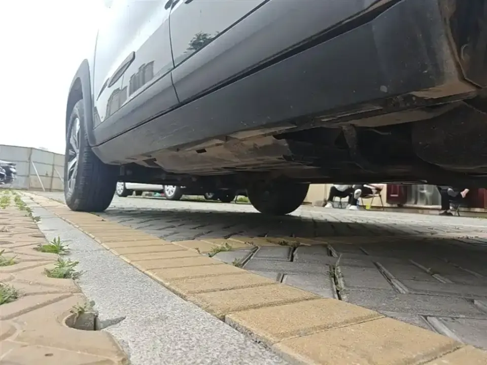 Haval Big Dog