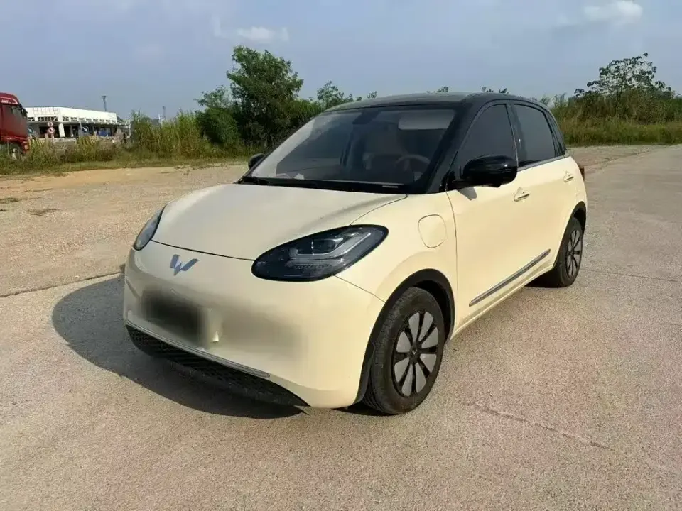 Wuling Bingo