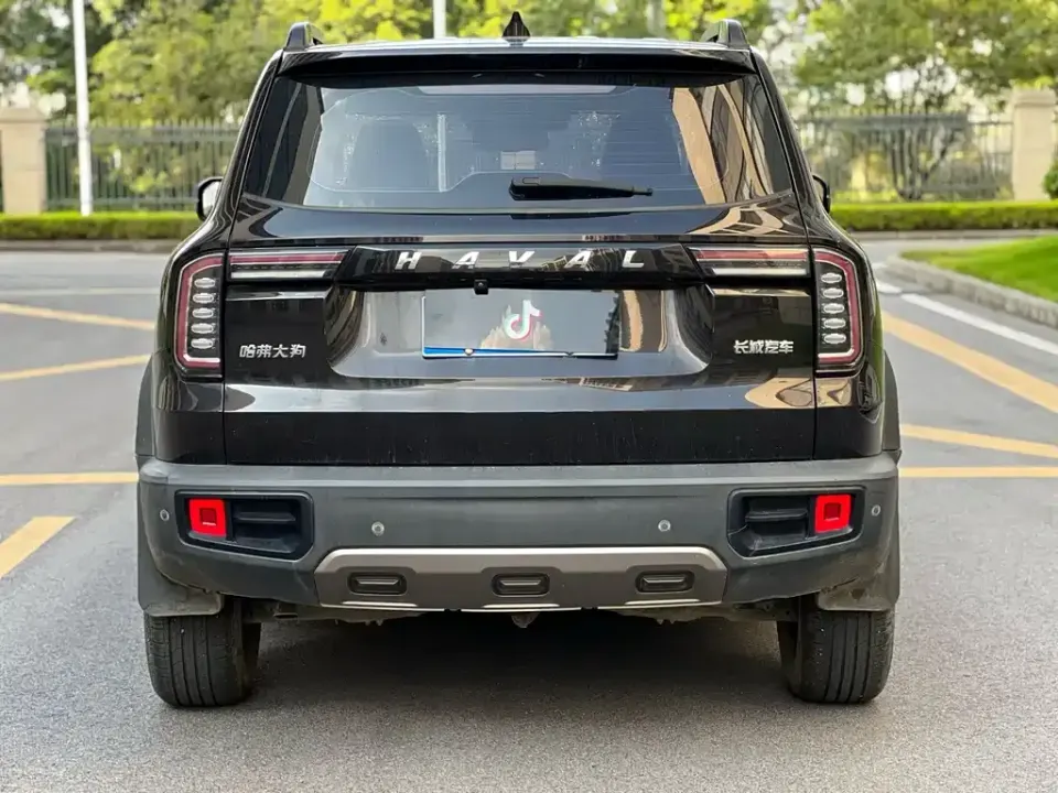Haval Big Dog