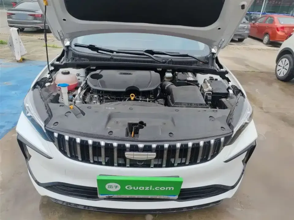 Geely Binrui