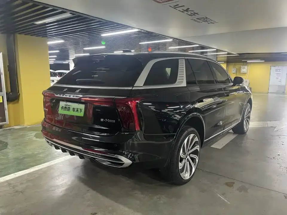 Hongqi Hongqi E-HS9