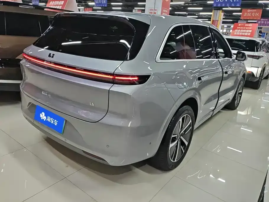 Li Li L6