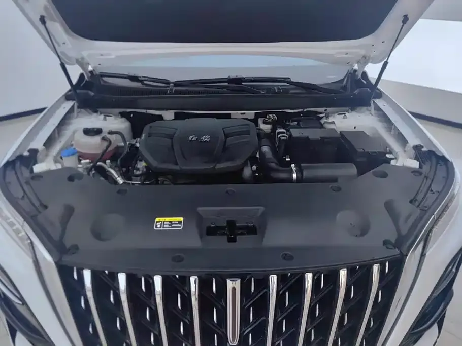 Hongqi Hongqi HS5