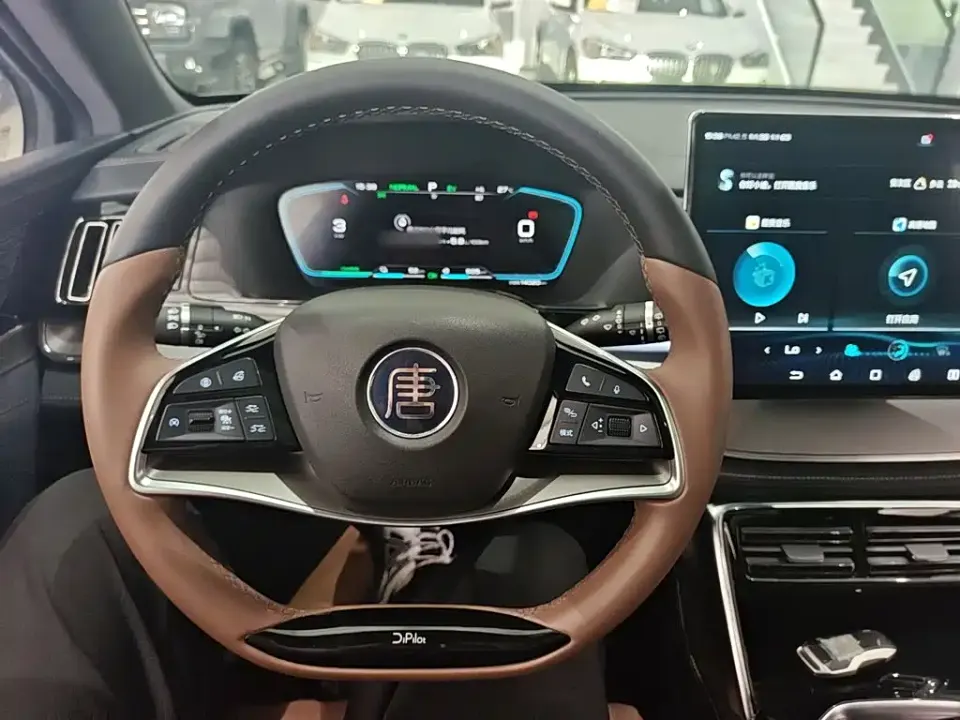 BYD Tang New Energy