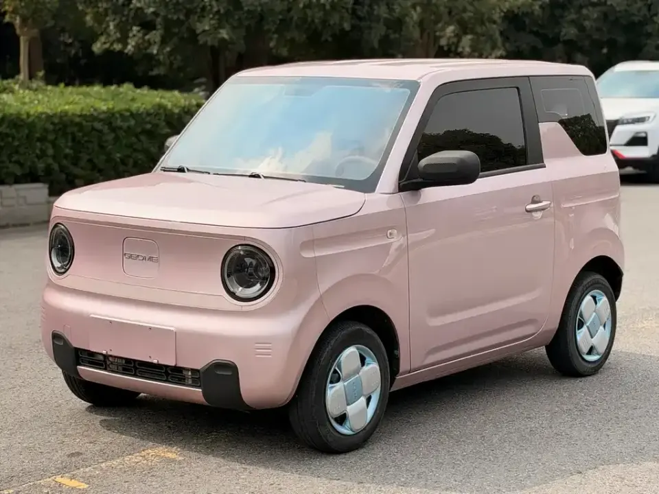 Galaxy Panda
