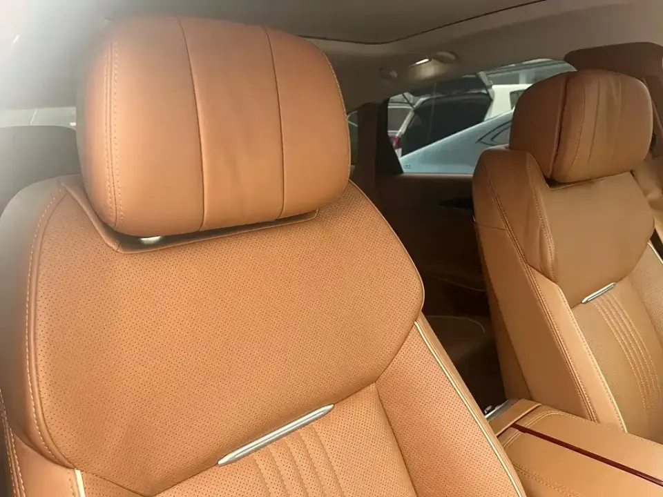 Hongqi Hongqi H9