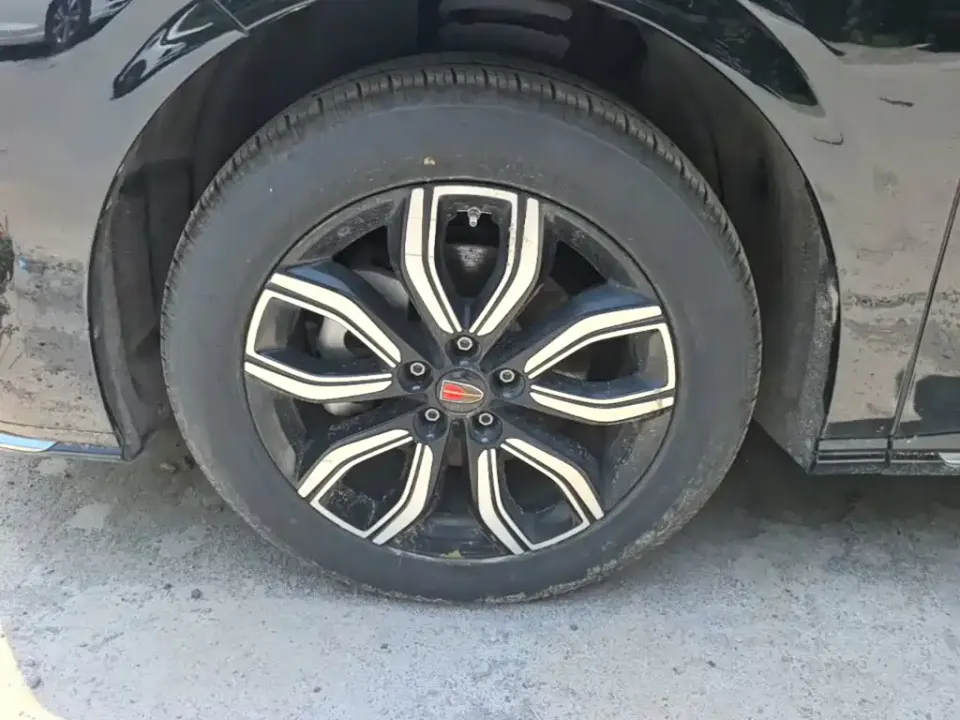 Hongqi Hongqi HQ9