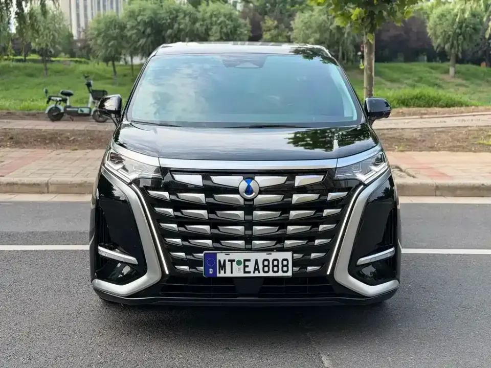 Denza Denza D9