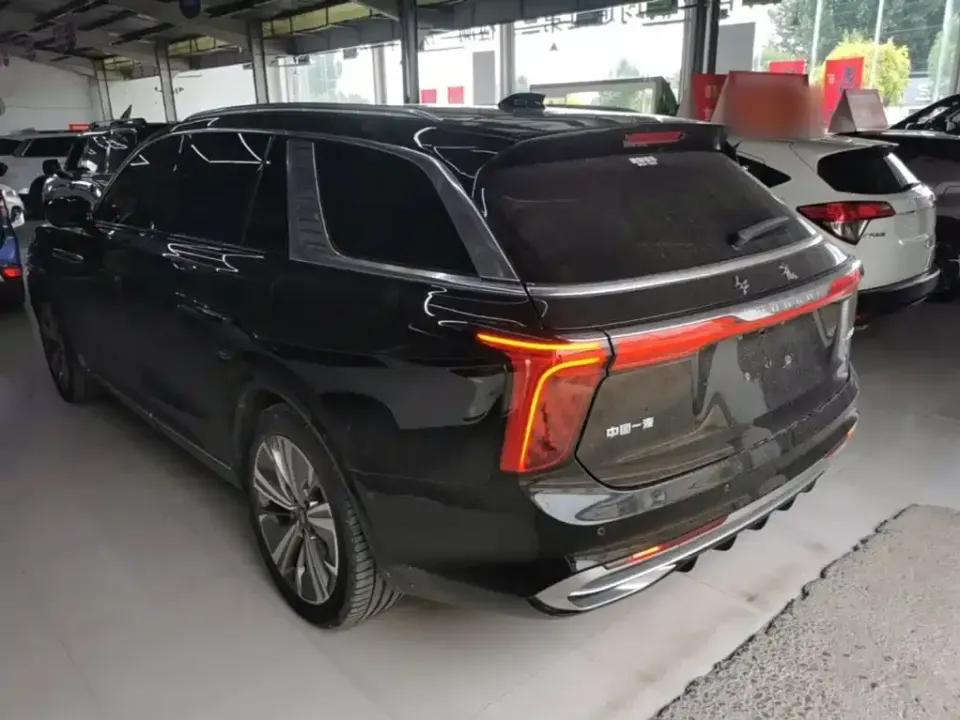 Hongqi Hongqi E-HS9