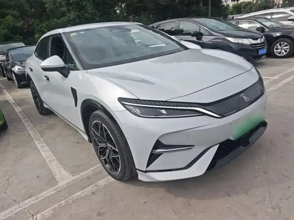 BYD L EV