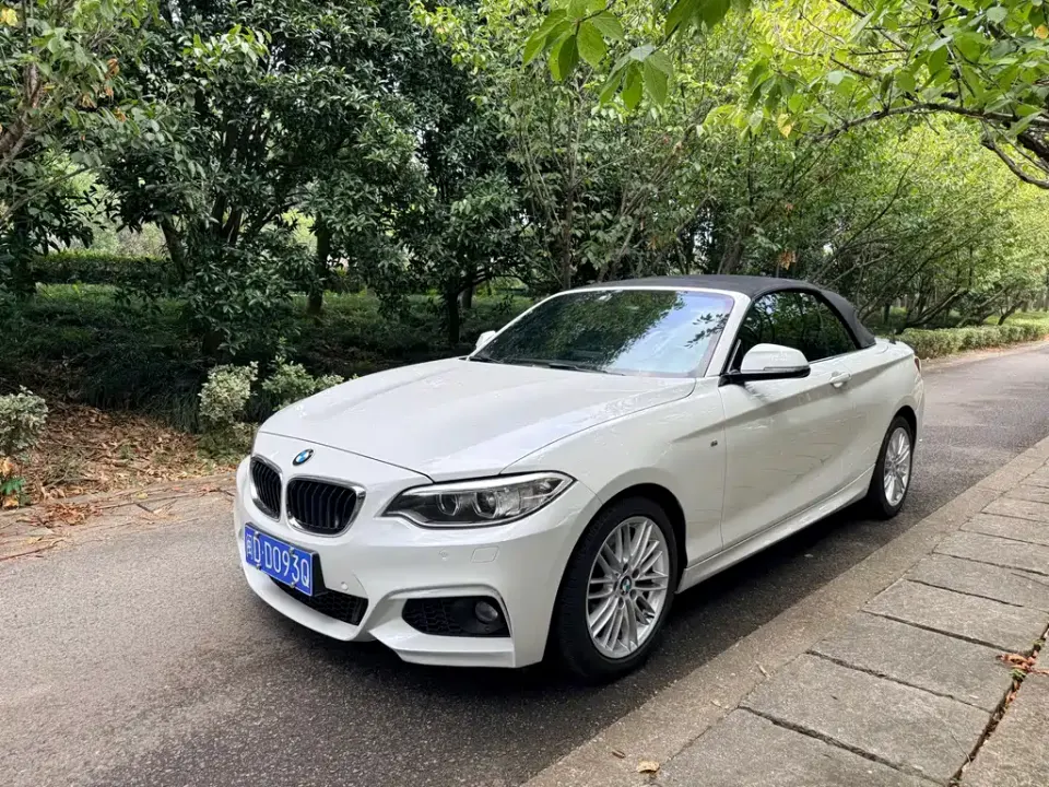 BMW 2 Series (Import)
