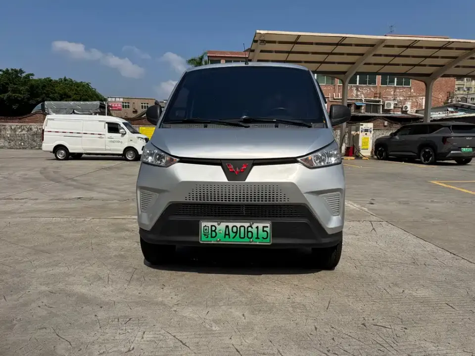 Wuling Wuling EV50