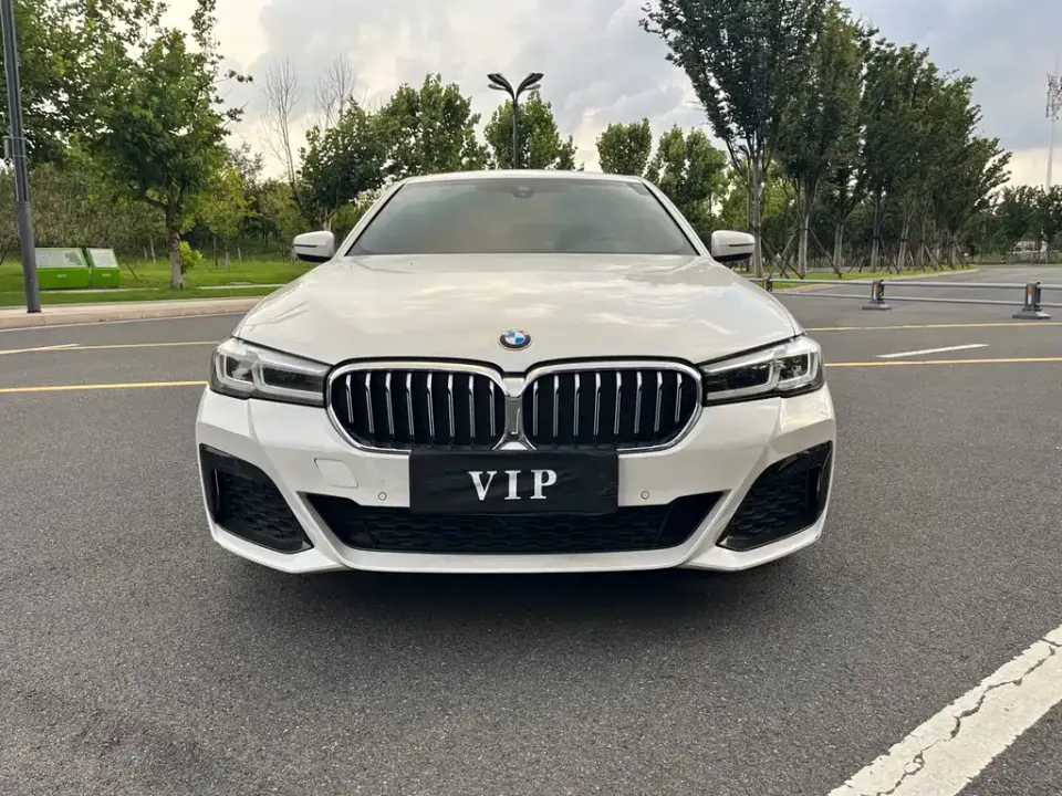 BMW 5 Series New Energy