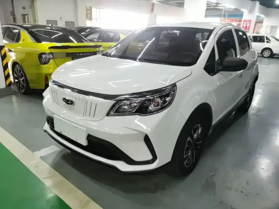 Geometry EX3 Kung Fu Bull