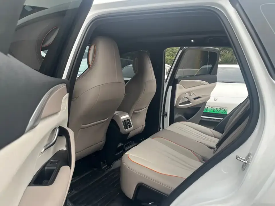 BYD Pro New Energy