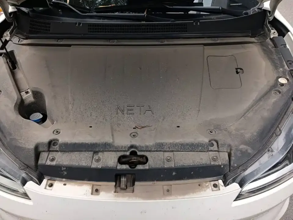 Neta Neta V