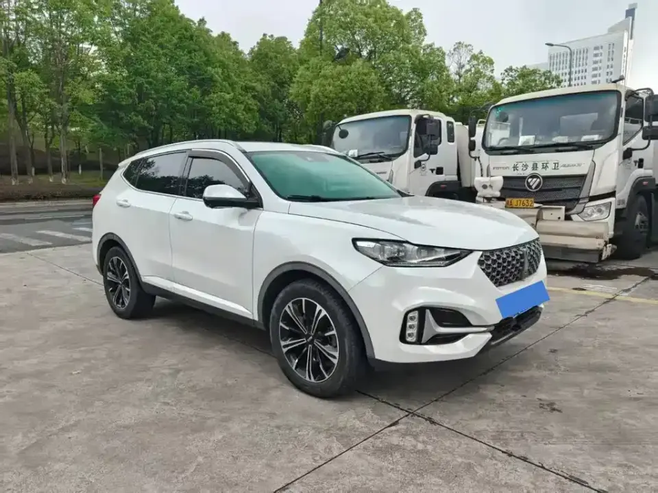WEY Wey VV6