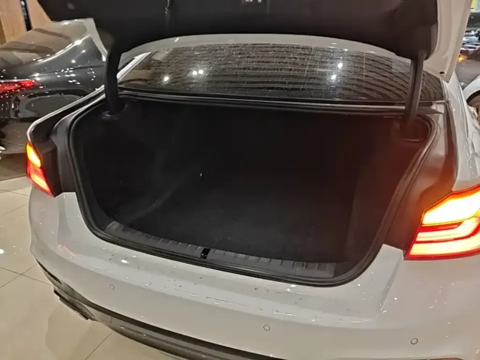 BMW 5 Series (Import)