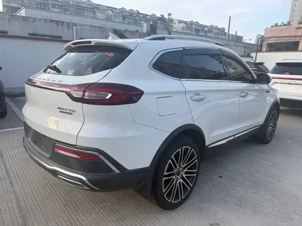 Leopaard Mattu