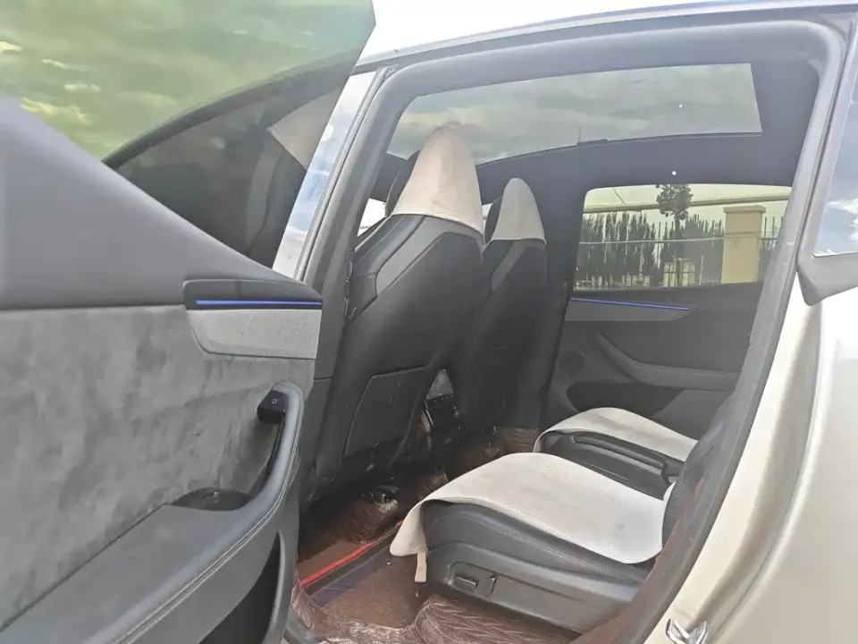 Tesla Model Y L