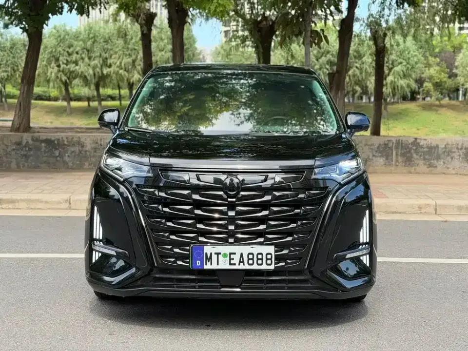 Denza Denza D9
