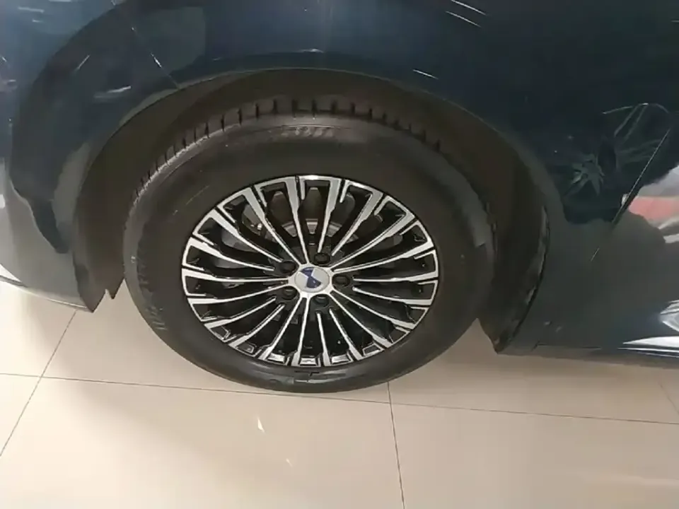 Denza Denza D9