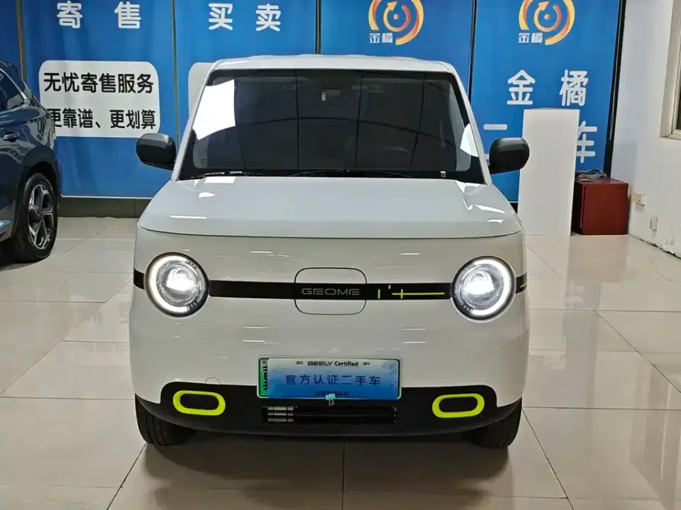 Galaxy Panda