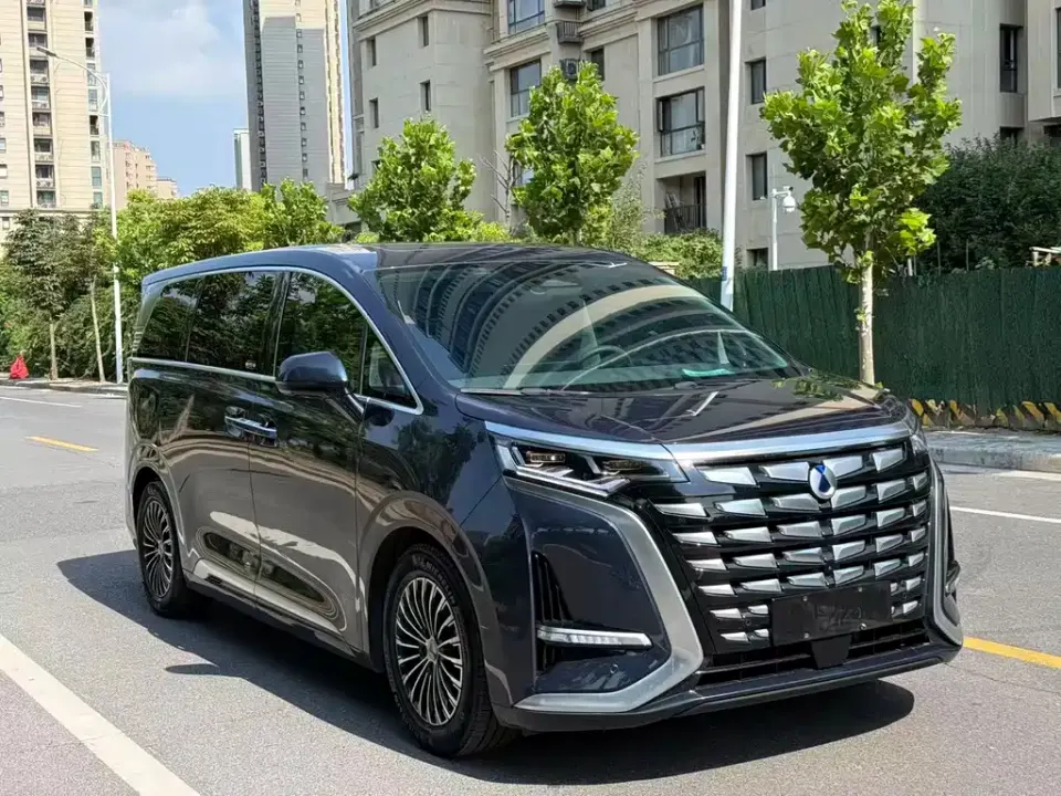 Denza Denza D9