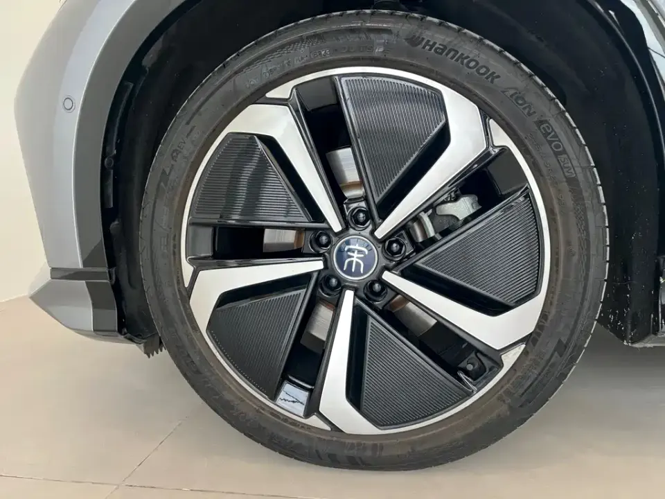 BYD L EV
