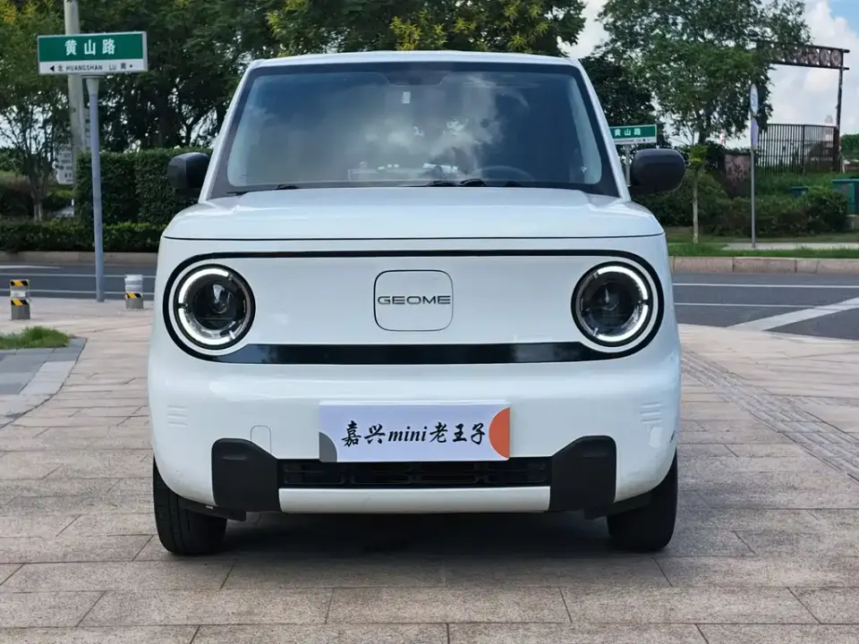 Galaxy Panda