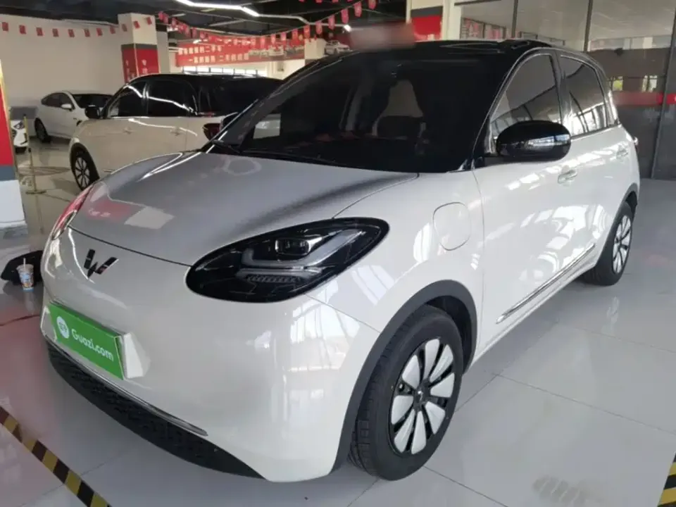 Wuling Bingo