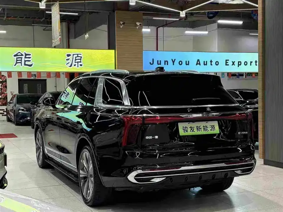 Hongqi Hongqi E-HS9