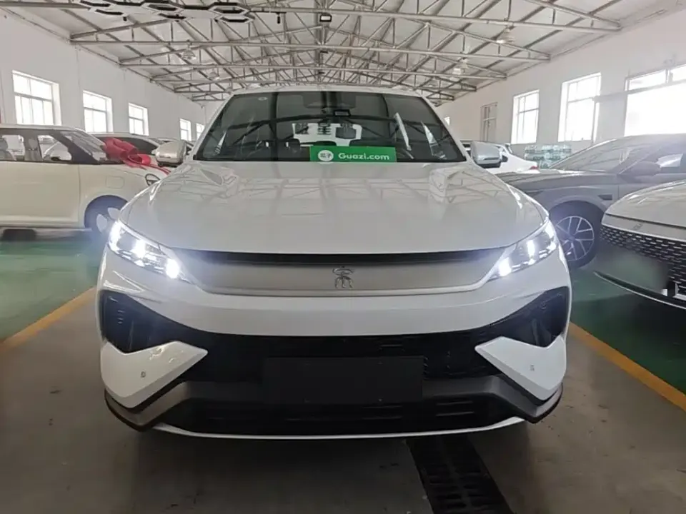 BYD Pro New Energy