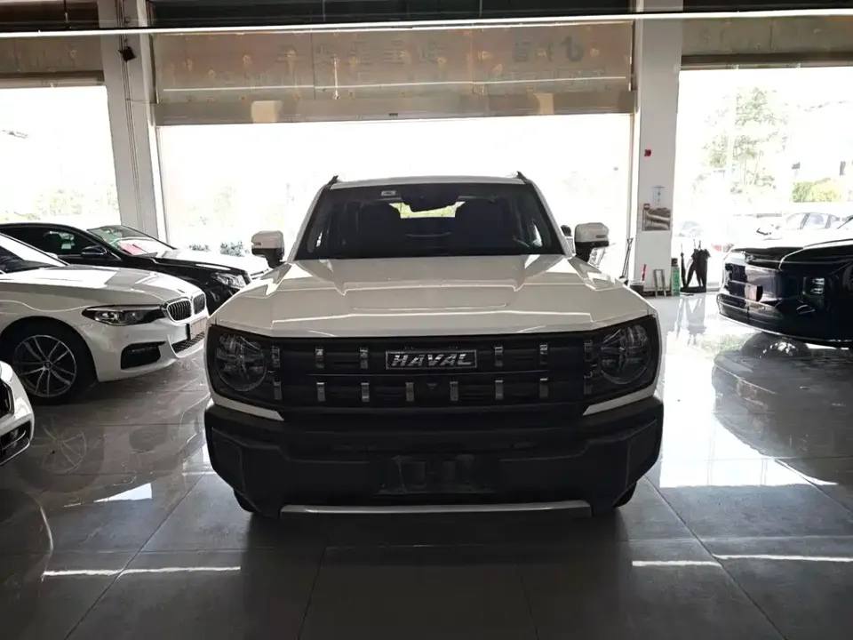 Haval Cool Dog