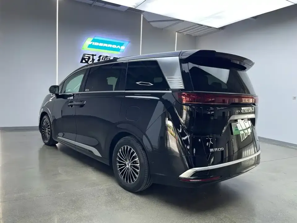 Denza Denza D9