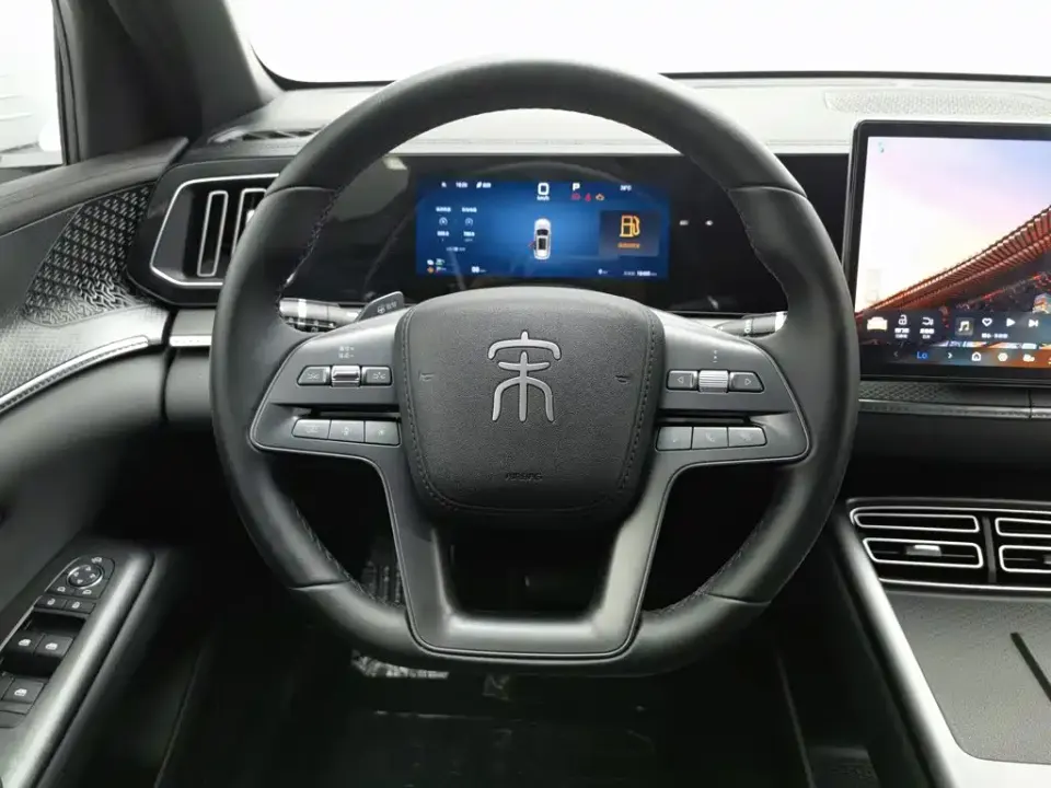 BYD Pro New Energy