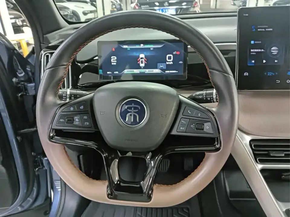 BYD Pro New Energy