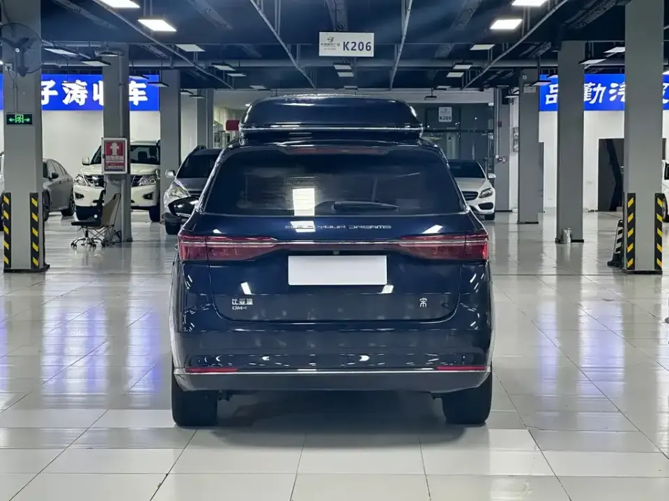 BYD MAX New Energy