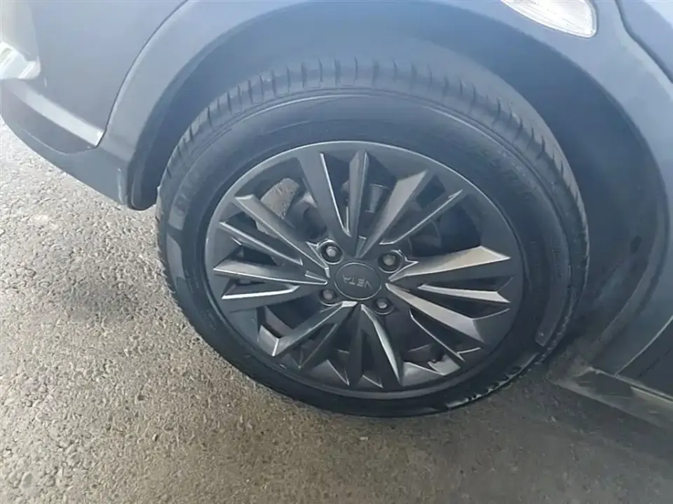 Neta Neta V